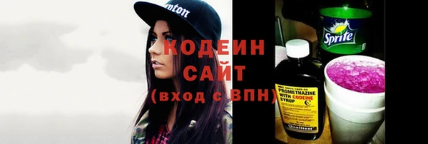 меф Вяземский