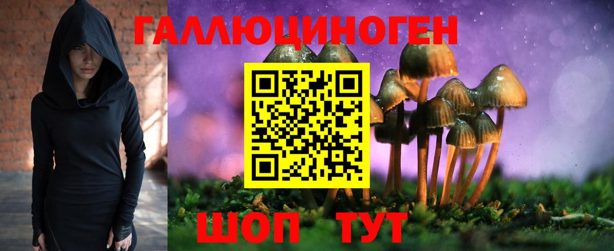 Псилоцибиновые грибы Cubensis Дальнереченск