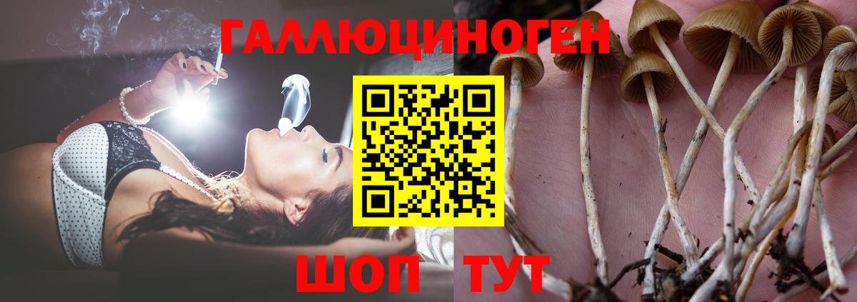 Галлюциногенные грибы мухоморы  Вход с VPN  Дальнереченск 